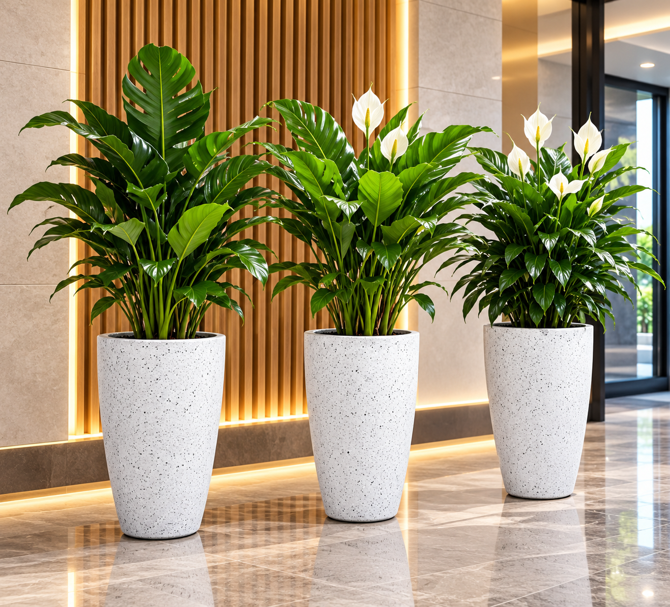 Modern Lobby Plants with Warm Wood Accents — Sugandha Farms & Nursery